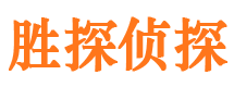 龙泉驿侦探公司